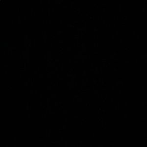 Meet your Posher, Emilie